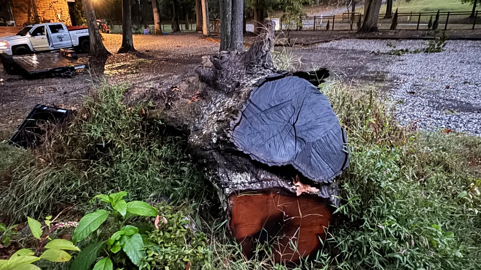 Stump